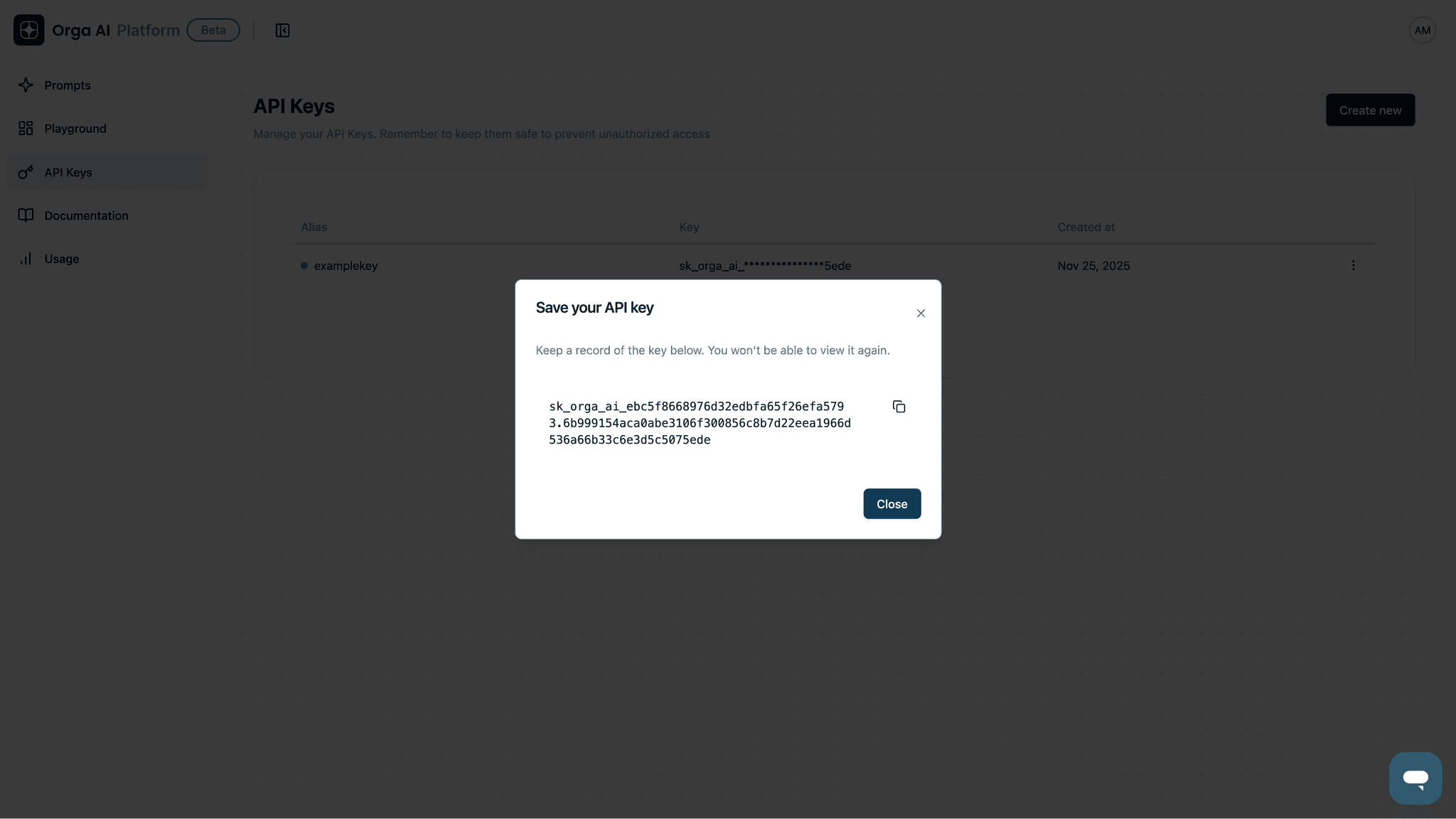 API key displayed with copy button